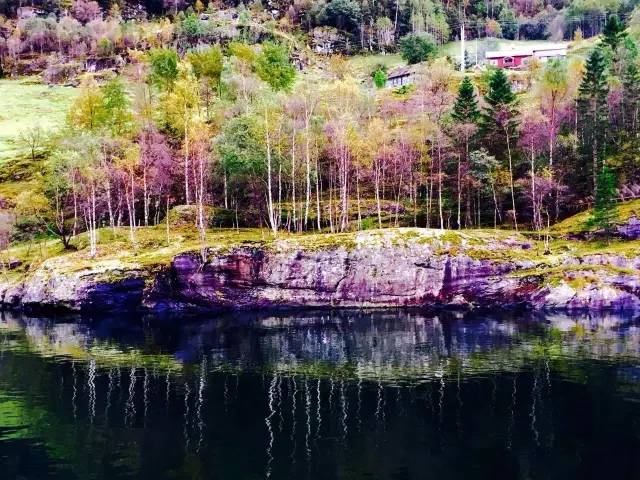 32.webp.jpg 皇冠体育