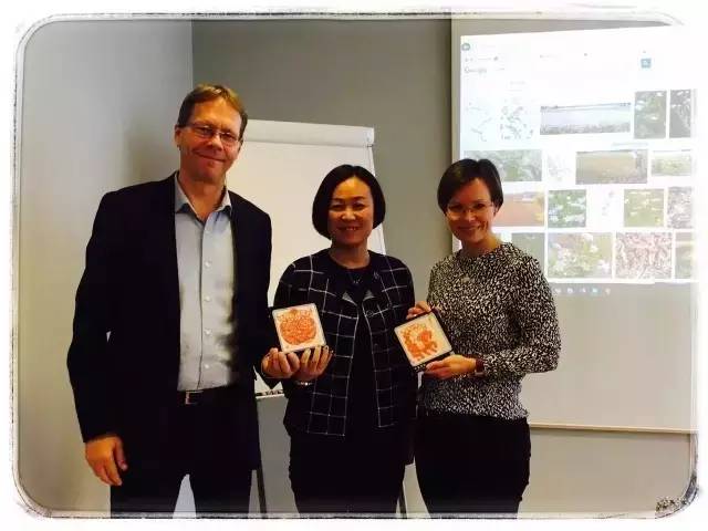 4.webp.jpg 皇冠体育