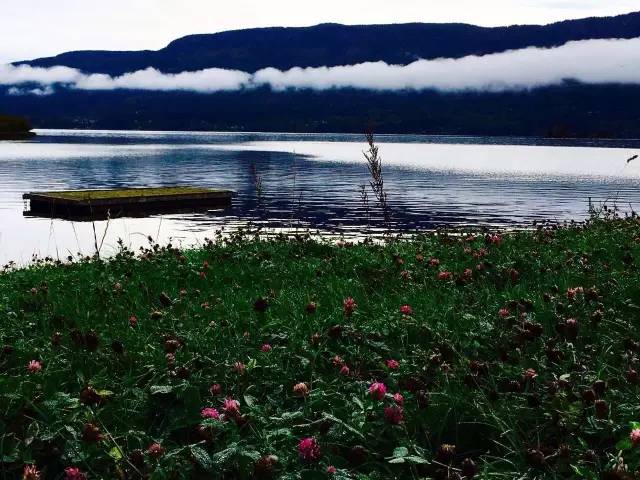 34.webp.jpg 皇冠体育