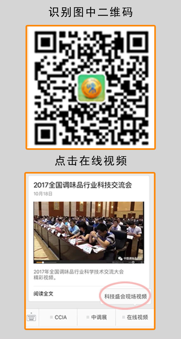 在线视频.jpg 皇冠体育