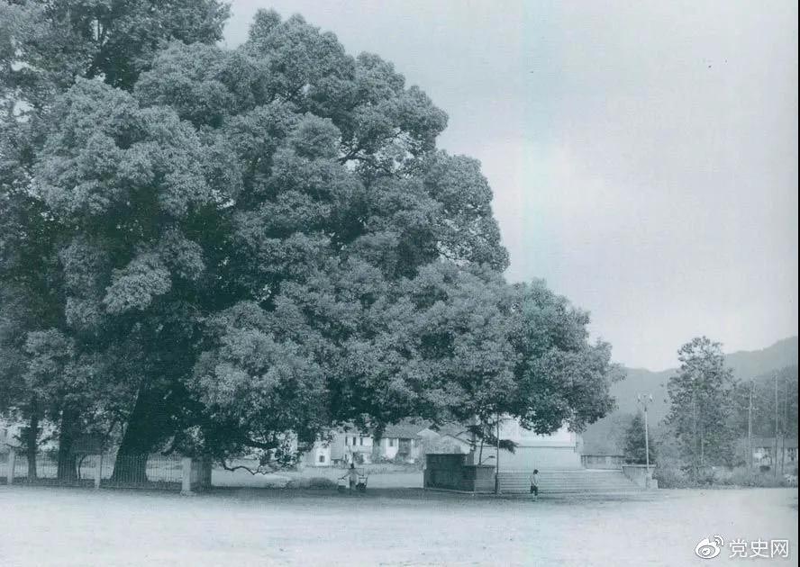 微信图片_20211011160220.jpg 皇冠体育