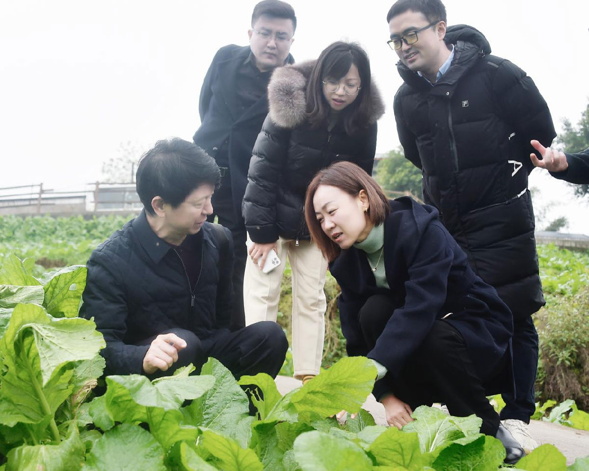 图片1.png 皇冠体育