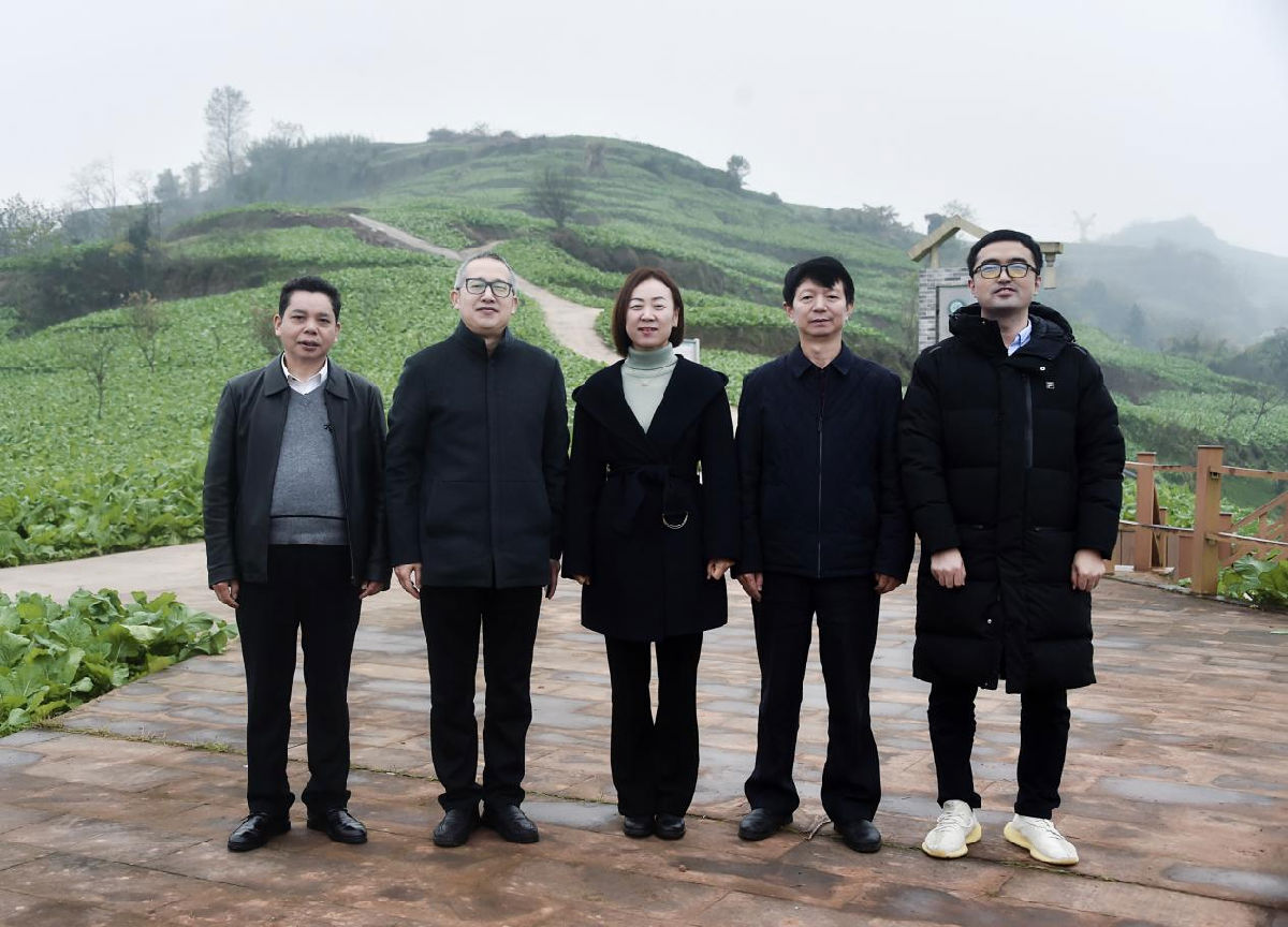 图片2.png 皇冠体育