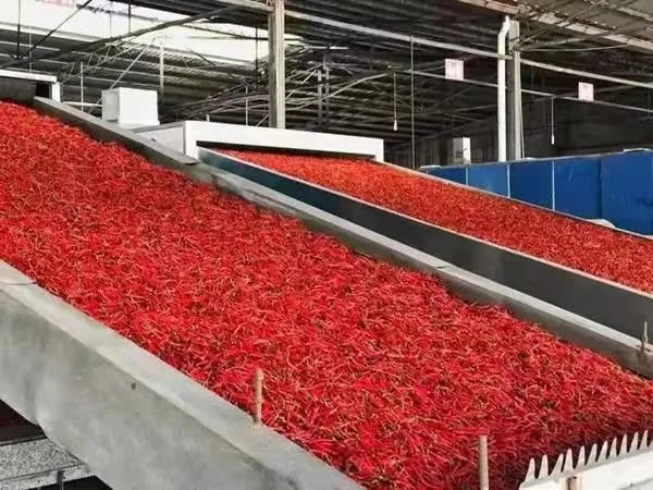 7.webp.jpg 皇冠体育