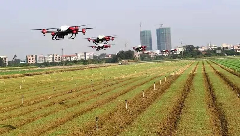 640 (1).webp (1).jpg 皇冠体育